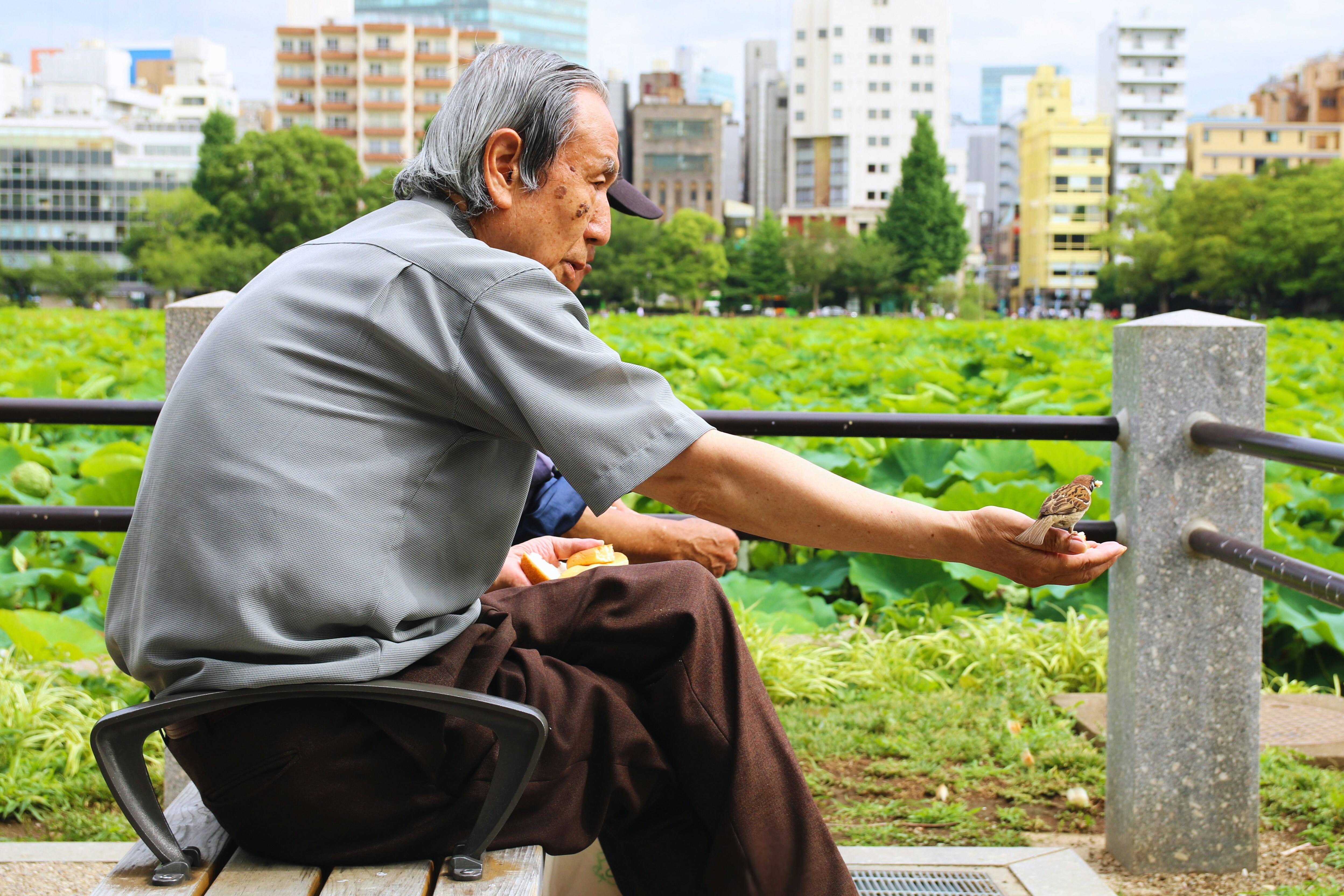 Enhancing Built Environmental Design Through Quality of Life Assessment ...