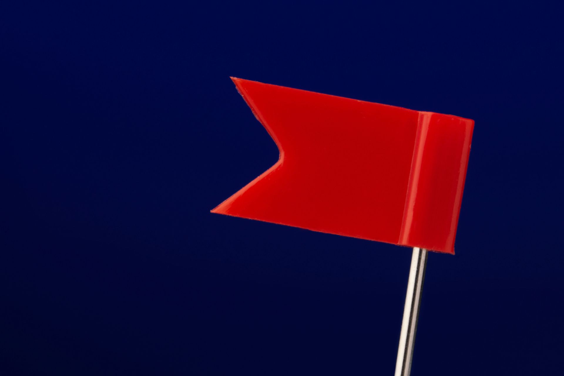 The Flag in the Corner That Says You Belong